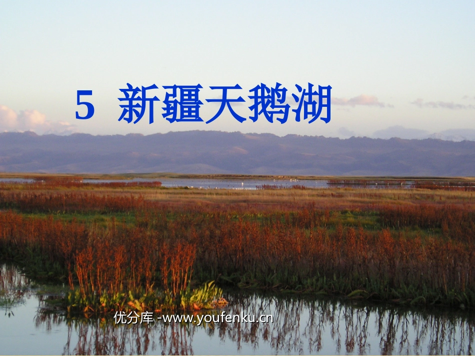 《新疆天鹅湖》PPT课件[西师大版二年级语文上册]_第1页