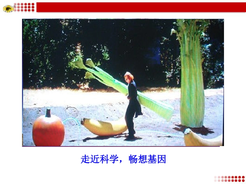 《基因畅想》PPT课件[语文版七年级语文上册]_第2页