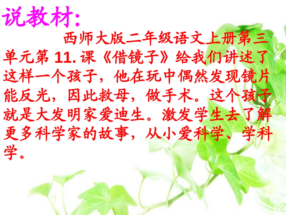 《借镜子》PPT课件[西师大版二年级语文上册]_第2页