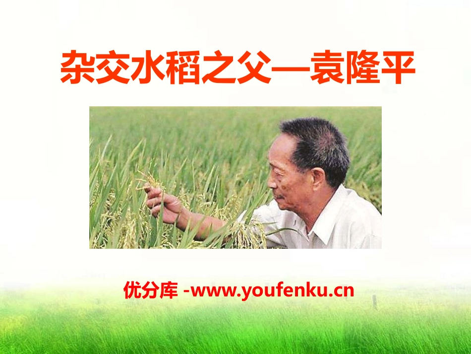 《杂交水稻之父-袁隆平》PPT课件[语文版八年级语文上册]_第1页