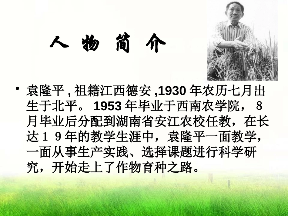 《杂交水稻之父-袁隆平》PPT课件[语文版八年级语文上册]_第3页
