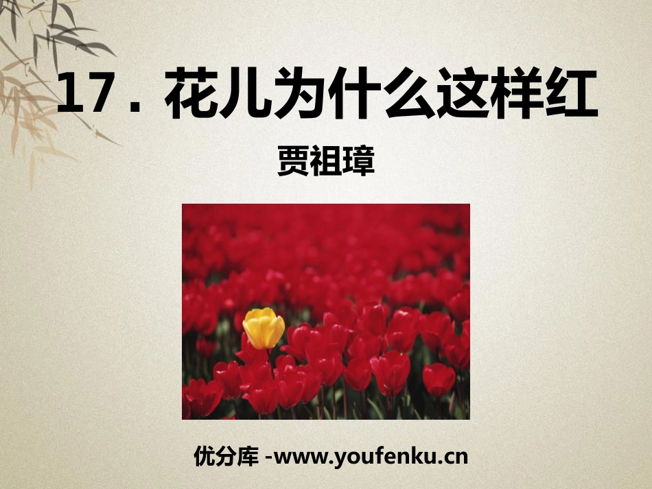 《花儿为什么这样红》PPT课件[语文版八年级语文上册]_第1页