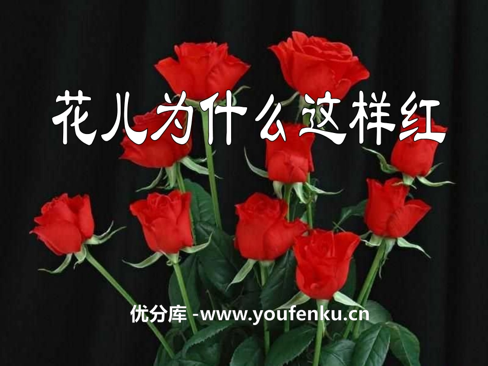 《花儿为什么这样红》PPT课件[语文版八年级语文上册]_第1页