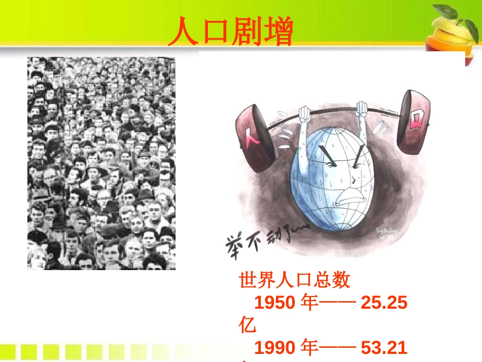 《海洋是未来的粮仓》PPT课件[语文版八年级语文上册]_第2页