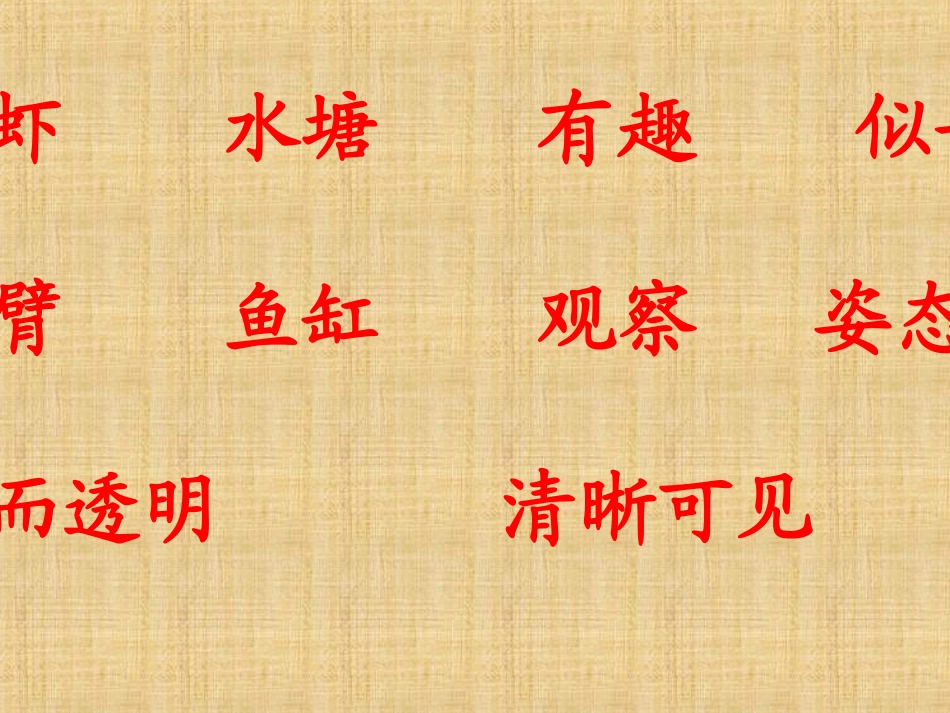《画虾》PPT课件[西师大版二年级语文上册]_第3页