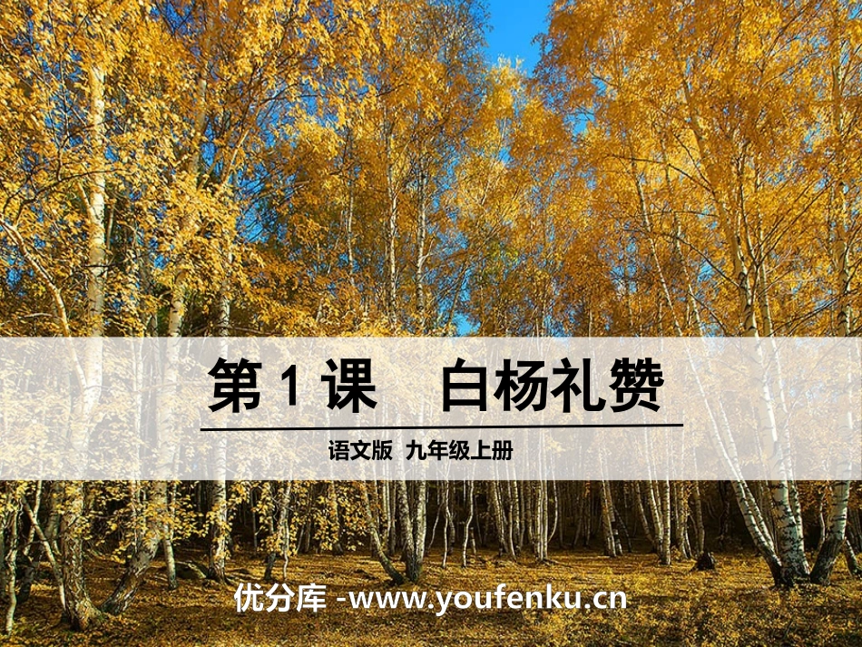 《白杨礼赞》PPT课件[语文版九年级语文上册]_第1页