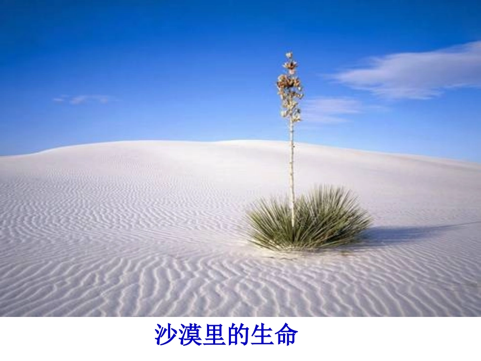 《囚绿记》PPT课件[语文版九年级语文上册]_第3页