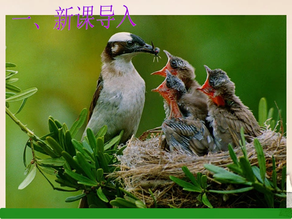 《一厘米》PPT课件[语文版九年级语文上册]_第2页