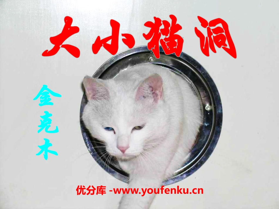 《大小猫洞》PPT课件[语文版九年级语文上册]_第1页