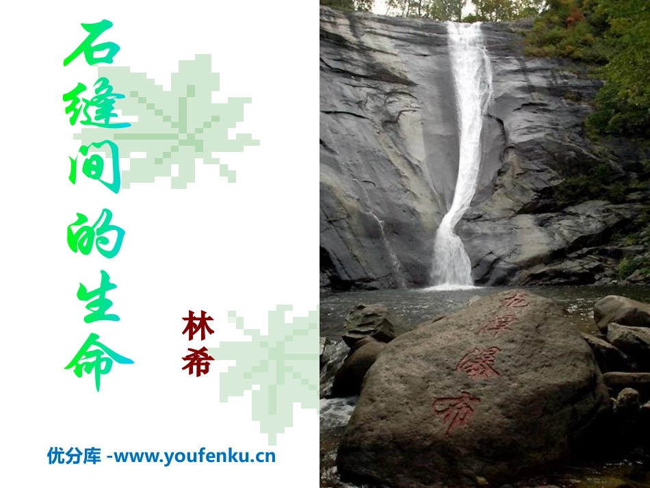 《石缝间的生命》PPT课件[语文版九年级语文下册]_第1页