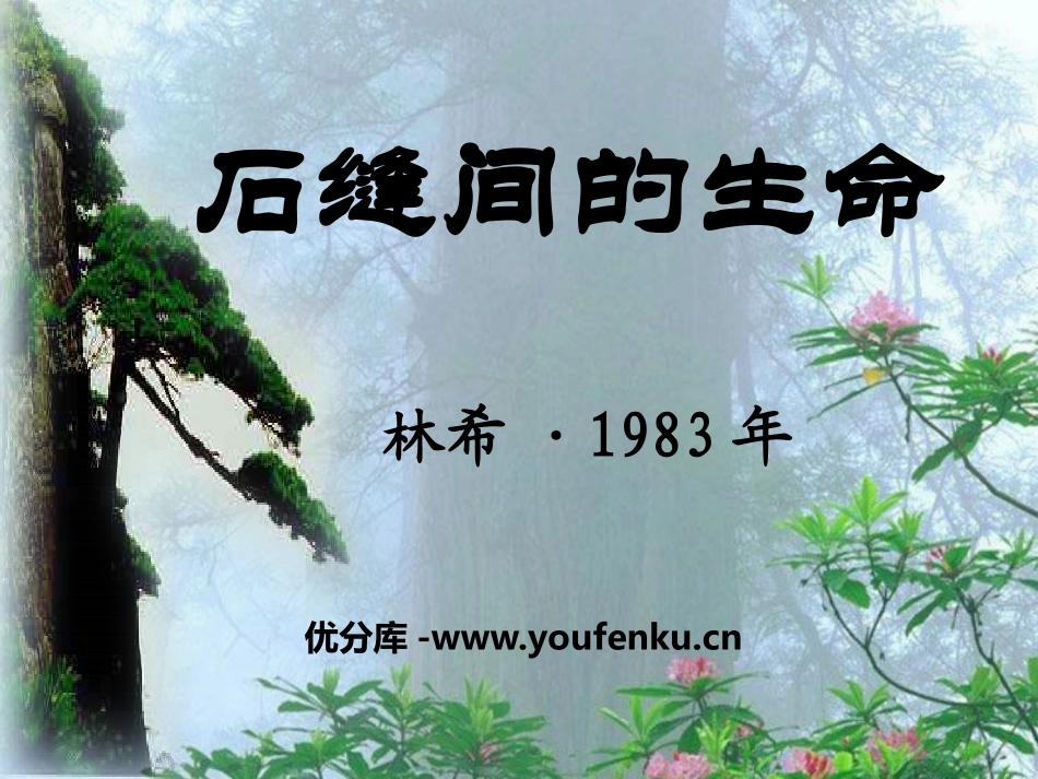 《石缝间的生命》PPT课件[语文版九年级语文下册]_第1页