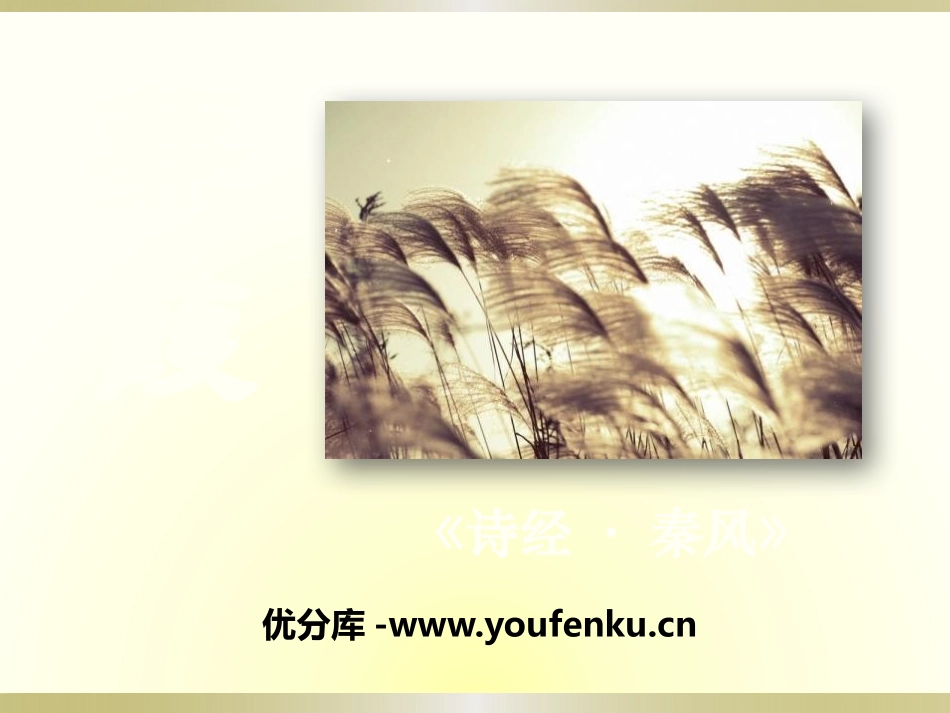 《蒹葭》PPT课件[语文版九年级语文下册]_第1页