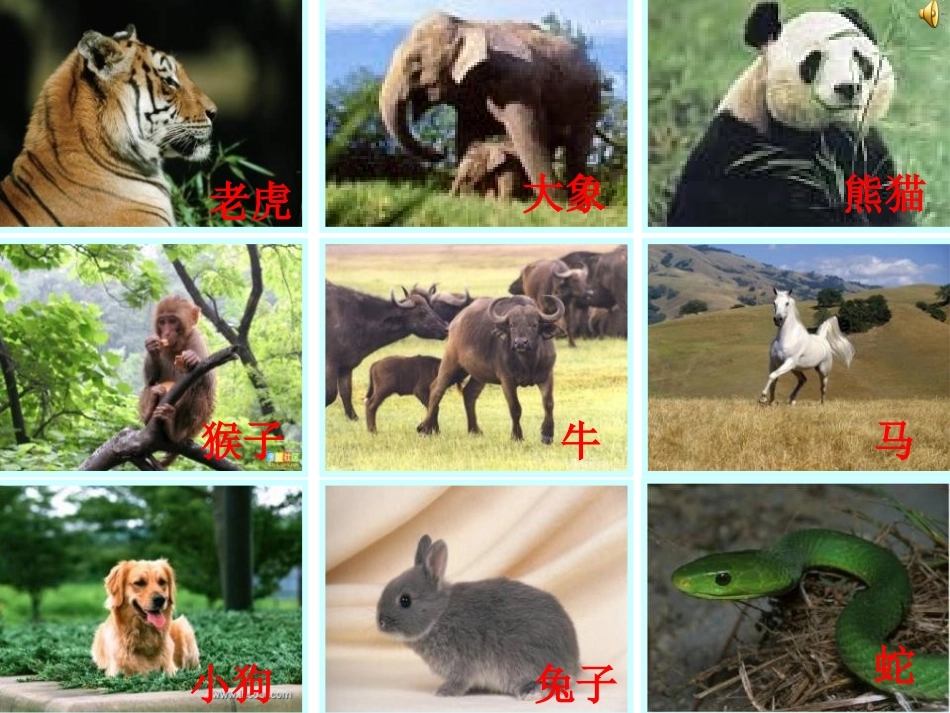 《虎王开会》PPT课件[A版一年级语文上册]_第2页