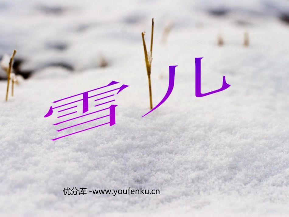 《雪儿》PPT课件[西师大版三年级语文上册]_第1页