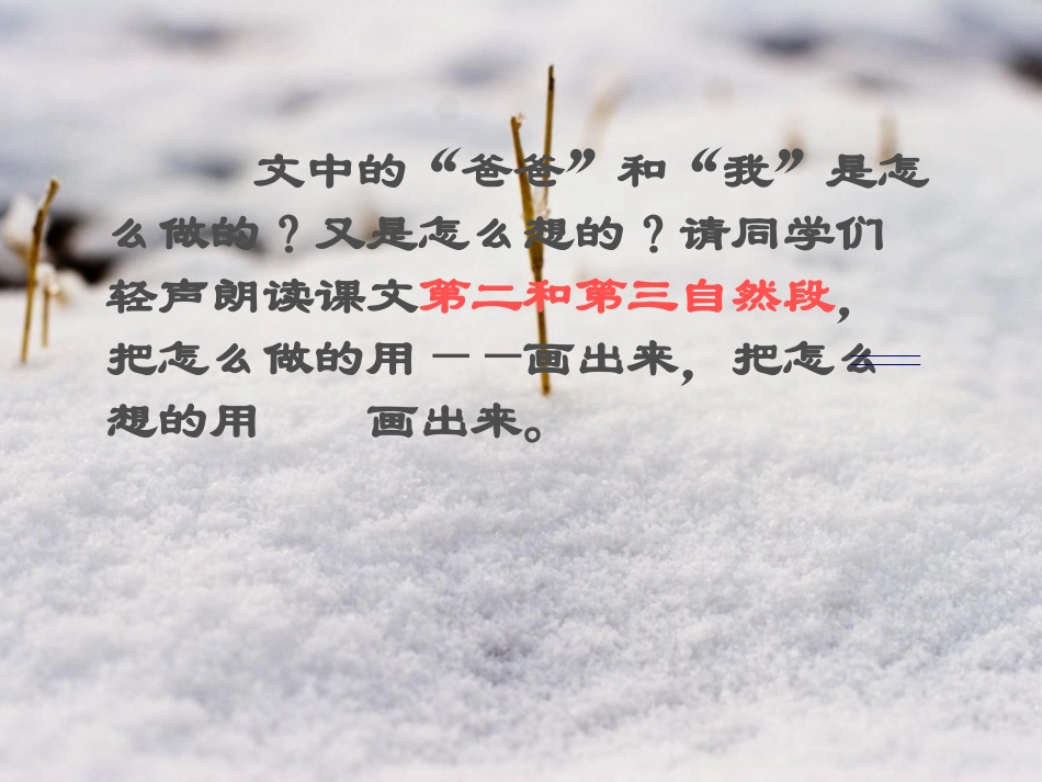 《雪儿》PPT课件[西师大版三年级语文上册]_第3页