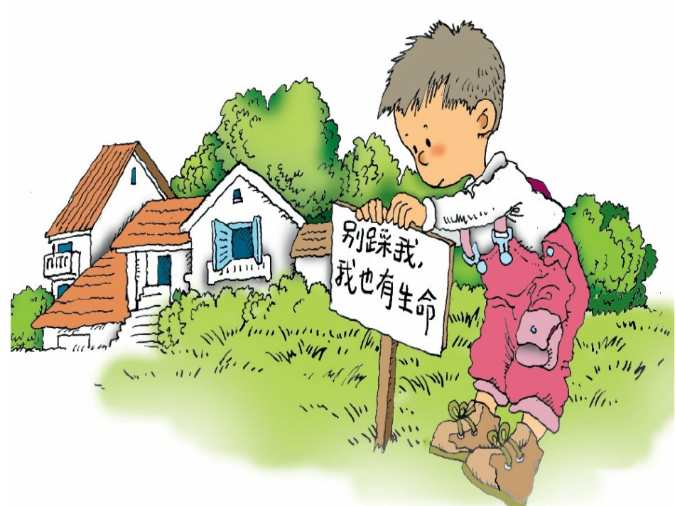 《草坪青青》PPT课件[A版一年级语文下册]_第3页