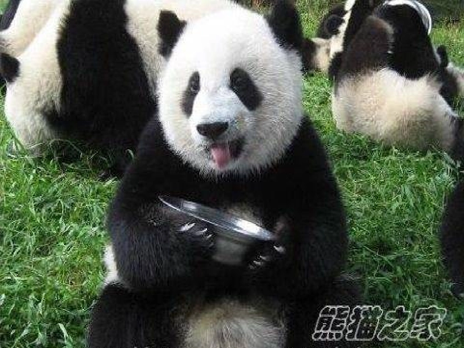 《我是国宝》PPT课件[A版一年级语文下册]_第3页