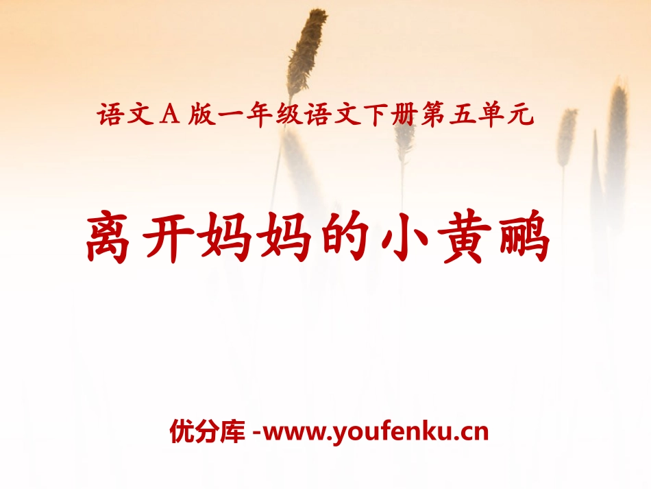 《离开妈妈的小黄鹂》PPT课件[A版一年级语文下册]_第1页