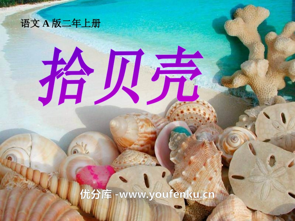 《拾贝壳》PPT课件[A版二年级语文上册]_第1页