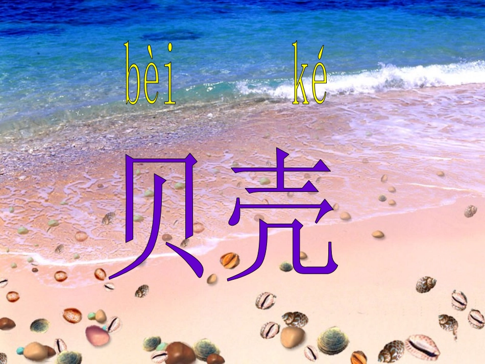 《拾贝壳》PPT课件[A版二年级语文上册]_第2页