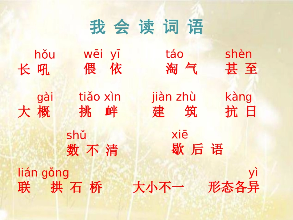 《卢沟桥的狮子》PPT课件[A版二年级语文上册]_第2页