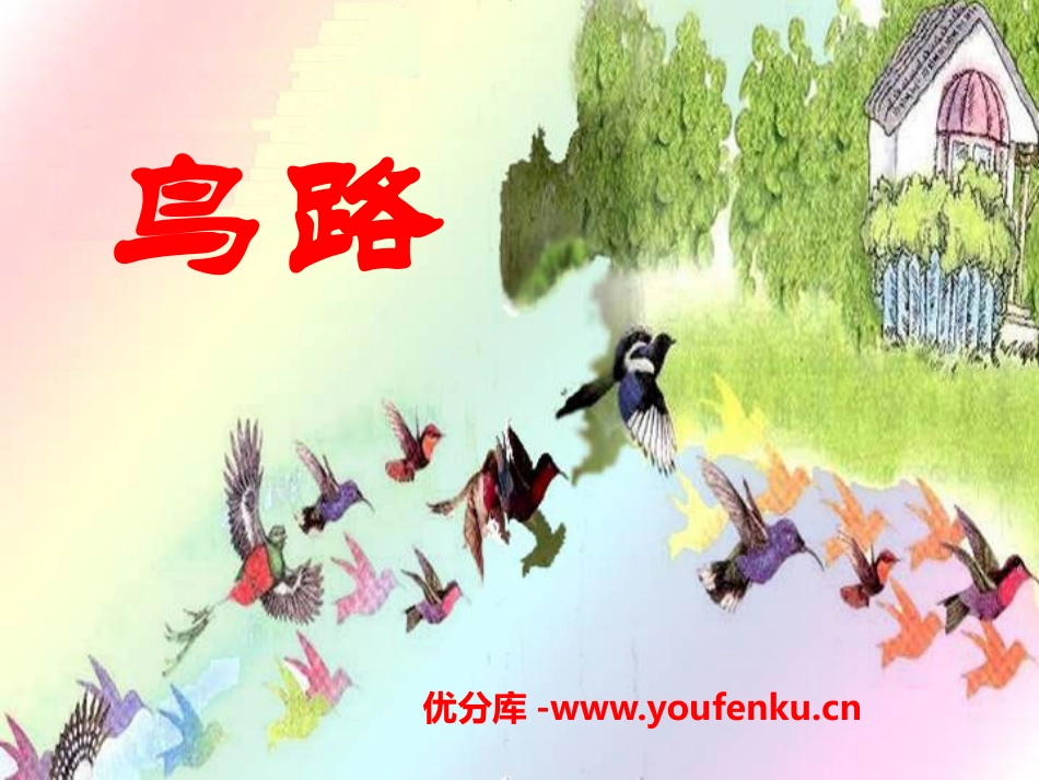 《鸟路》PPT课件[A版二年级语文上册]_第1页