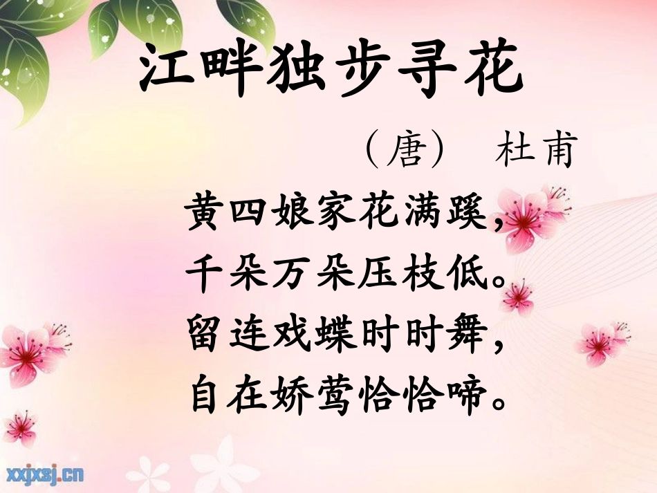 《江畔独步寻花》PPT课件[A版二年级语文上册]_第3页