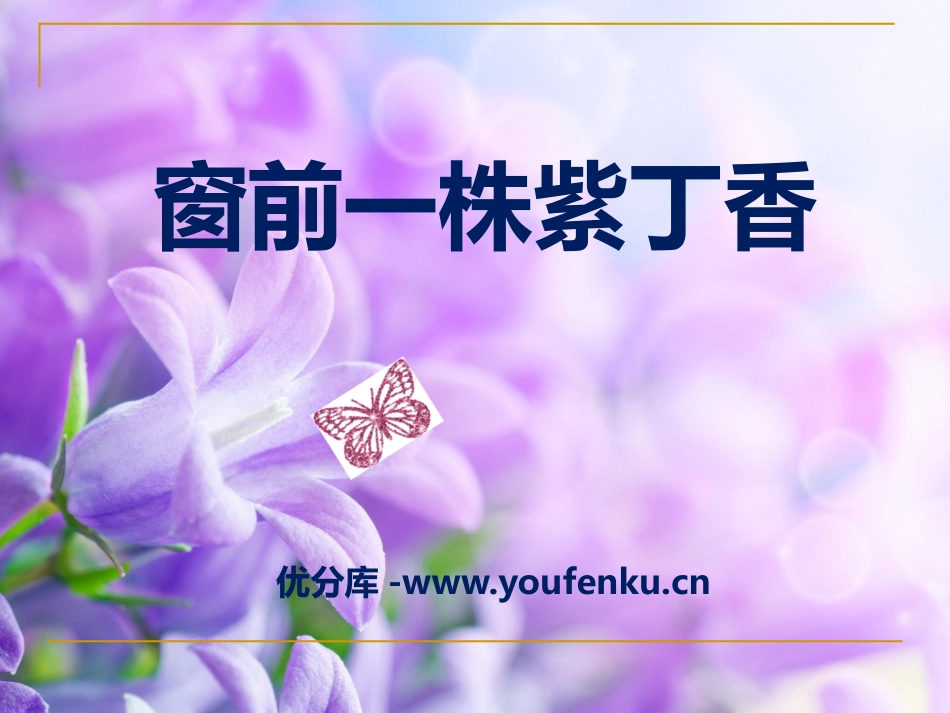 《窗前一株紫丁香》PPT课件[A版二年级语文下册]_第1页