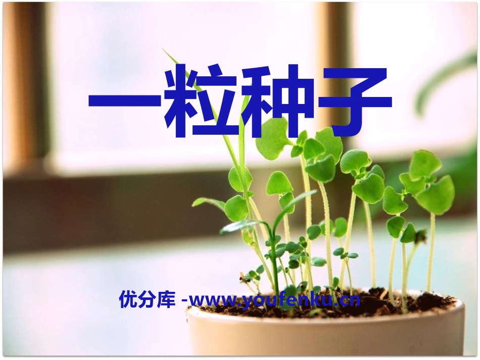 《一粒种子》PPT课件[A版二年级语文下册]_第1页