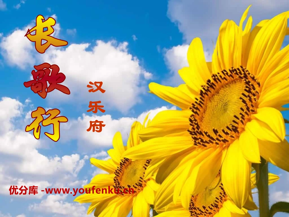 《长歌行》PPT课件[A版二年级语文下册]_第1页