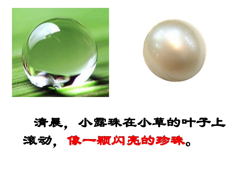 《小露珠的梦》PPT课件[A版二年级语文下册]_第3页
