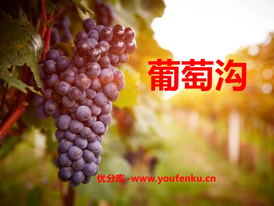 《葡萄沟》PPT课件[A版二年级语文下册]_第1页