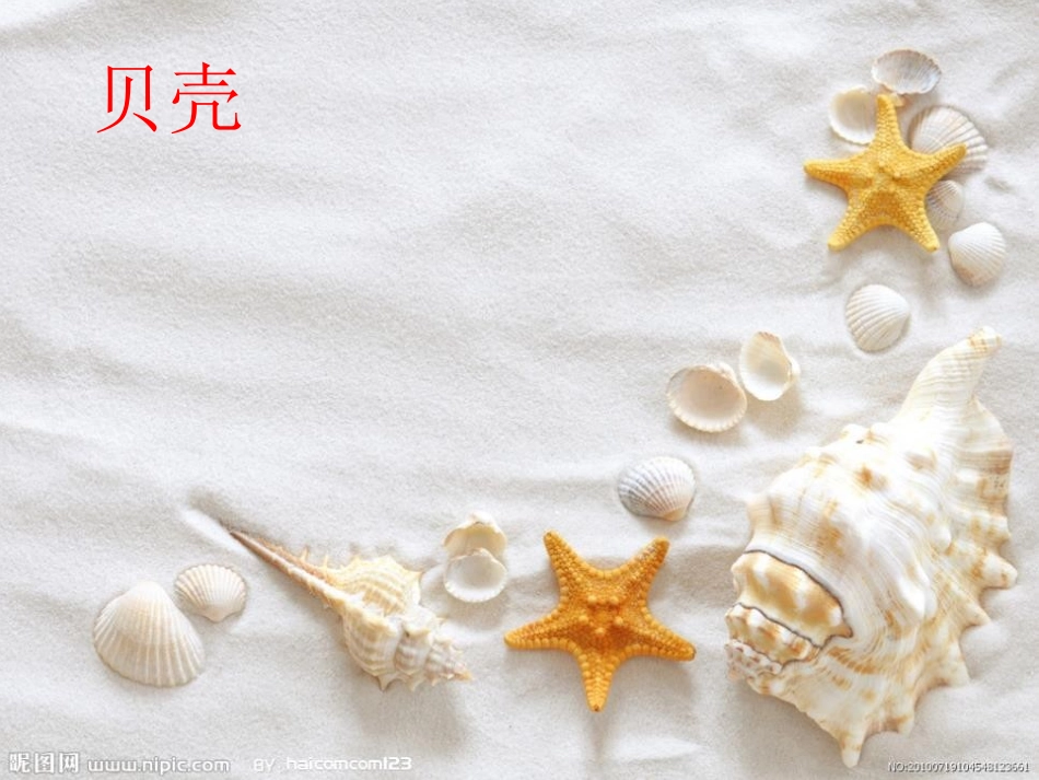 《海边男孩》PPT课件[A版二年级语文下册]_第2页