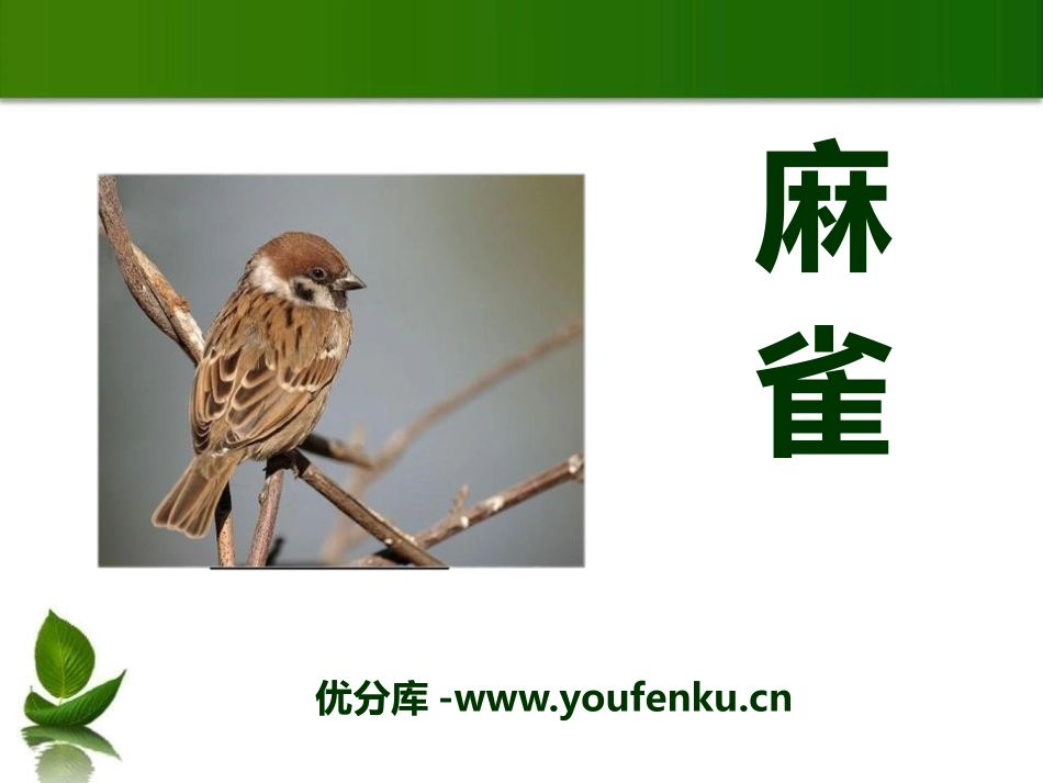 《麻雀》PPT课件[A版二年级语文下册]_第1页