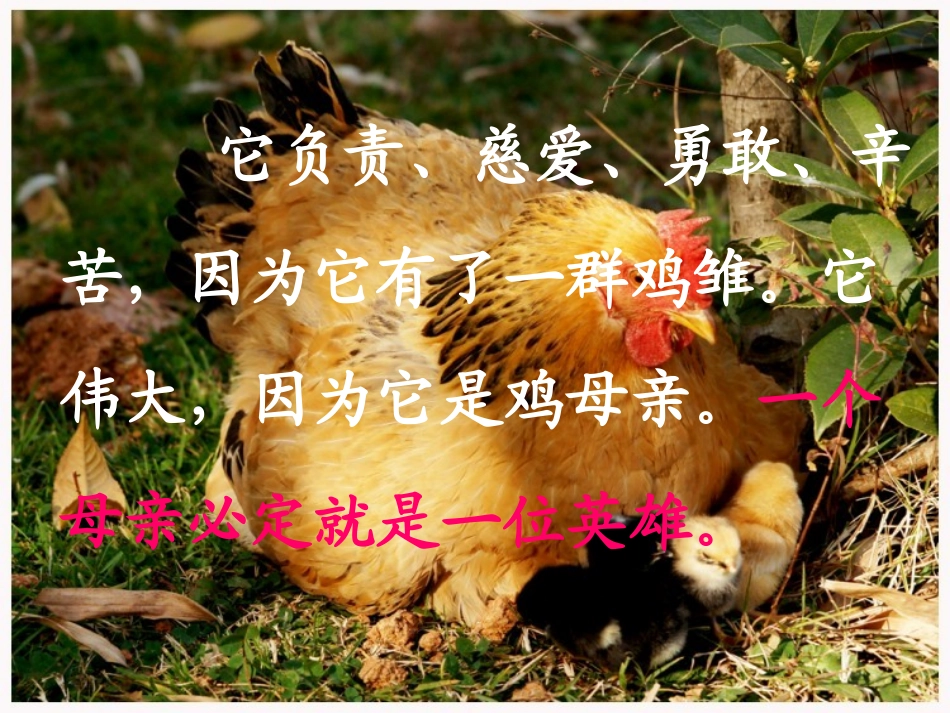 《麻雀》PPT课件[A版二年级语文下册]_第2页