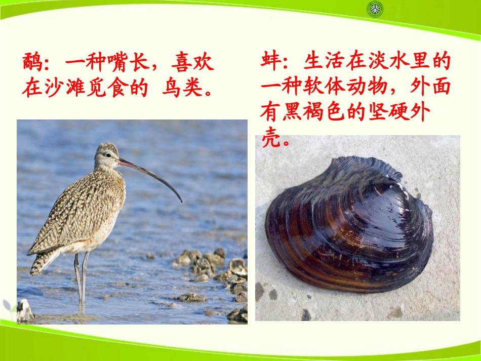 《鹬蚌相争》PPT课件[A版二年级语文下册]_第2页