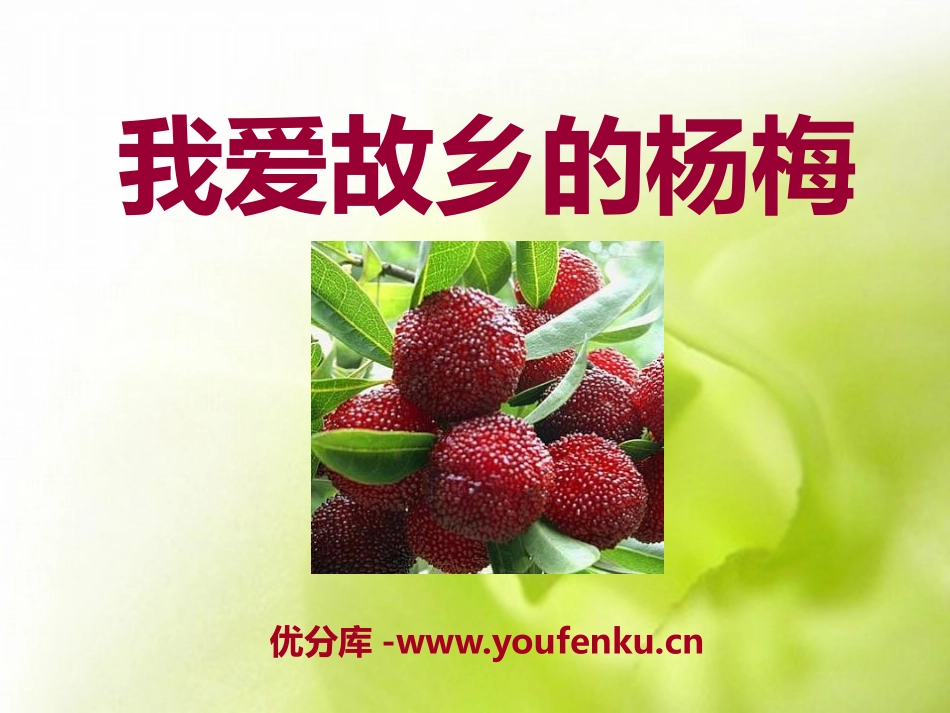 《我爱故乡的杨梅》PPT课件[A版三年级语文上册]_第1页