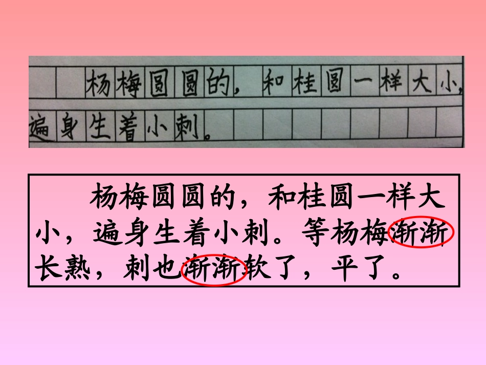 《我爱故乡的杨梅》PPT课件[A版三年级语文上册]_第3页