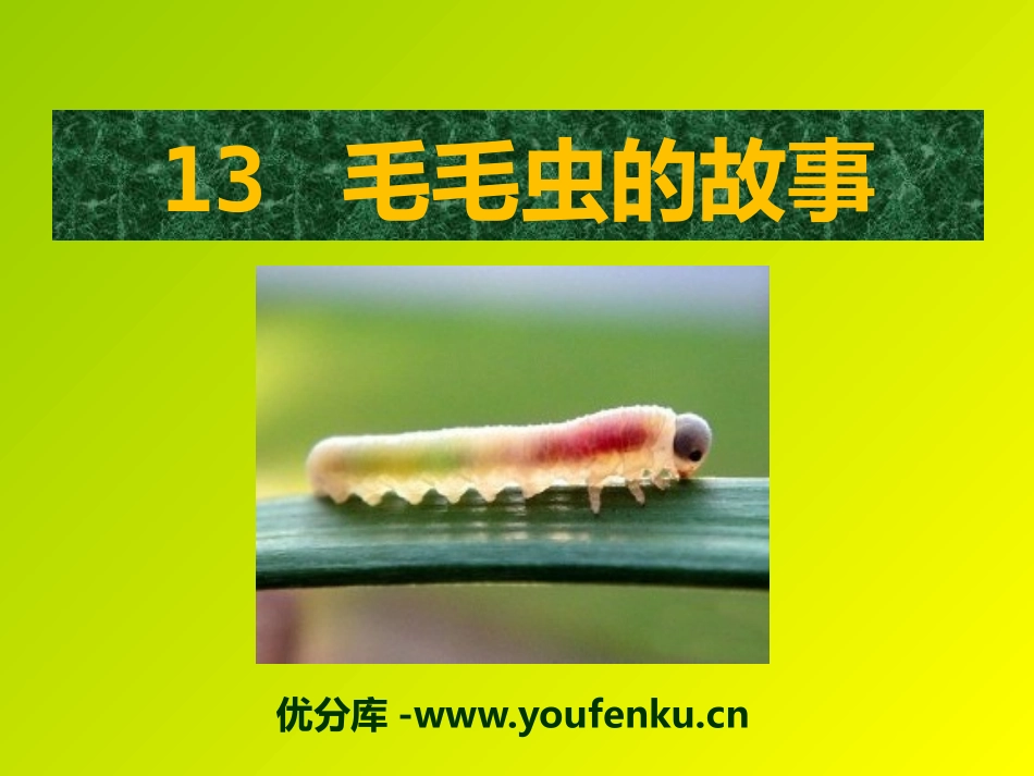 《毛毛虫的故事》PPT课件[A版三年级语文上册]_第1页