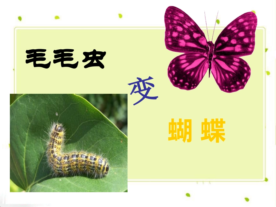 《毛毛虫的故事》PPT课件[A版三年级语文上册]_第2页