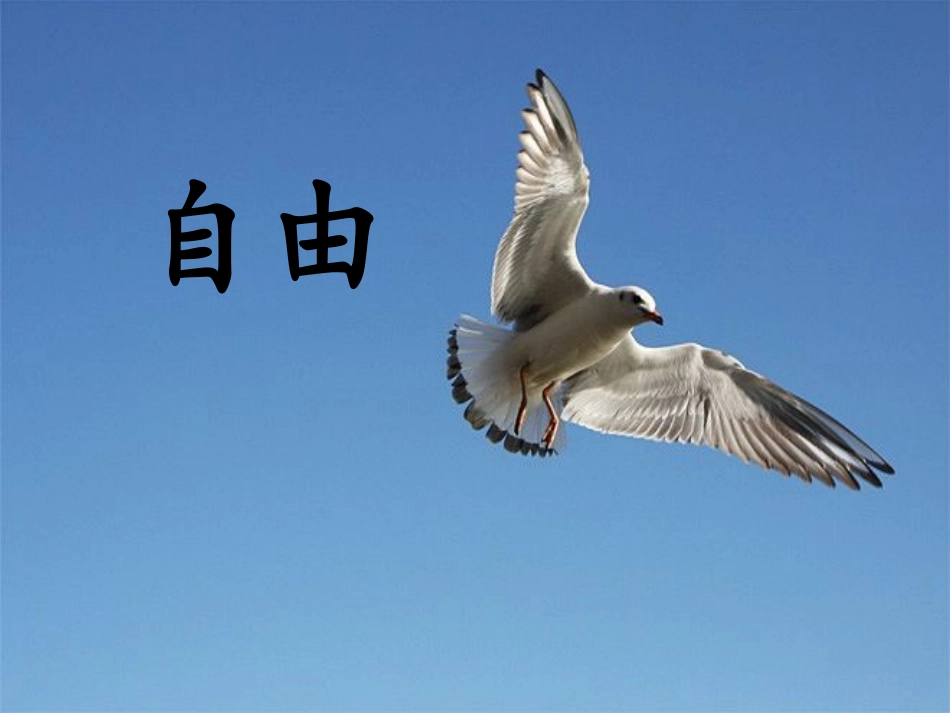 《脱身妙计》PPT课件[A版三年级语文上册]_第3页