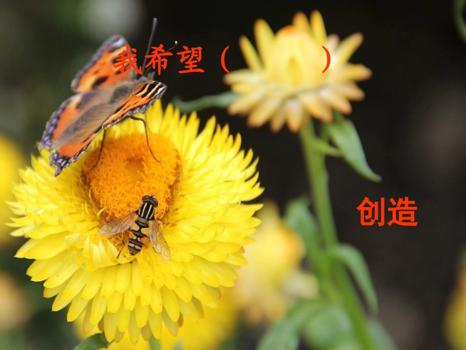 《妈妈,请别阻拦我》PPT课件[A版三年级语文下册]_第3页