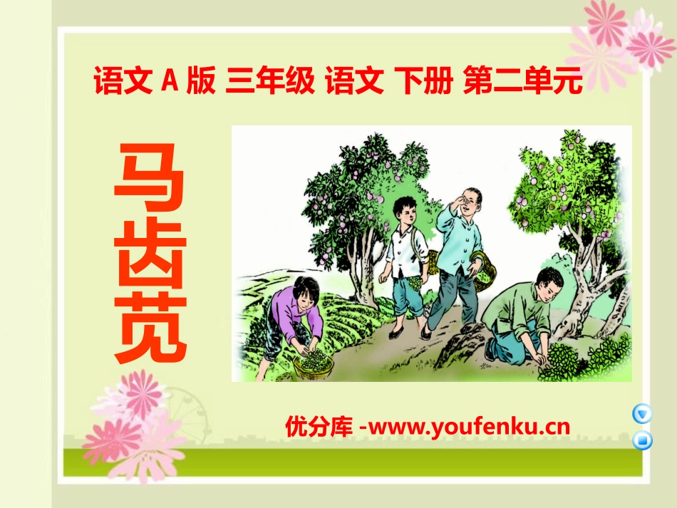《马齿苋》PPT课件[A版三年级语文下册]_第1页