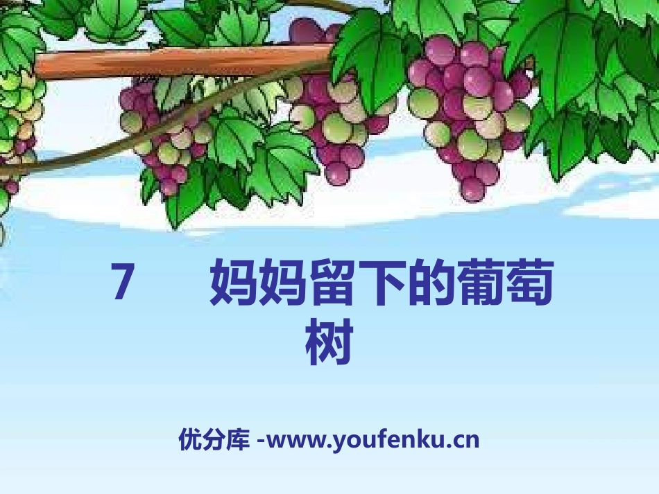 《妈妈留下的葡萄树》PPT课件[A版三年级语文下册]_第1页