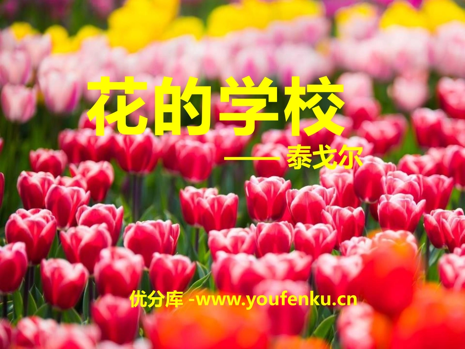 《花的学校》PPT课件[A版三年级语文下册]_第1页