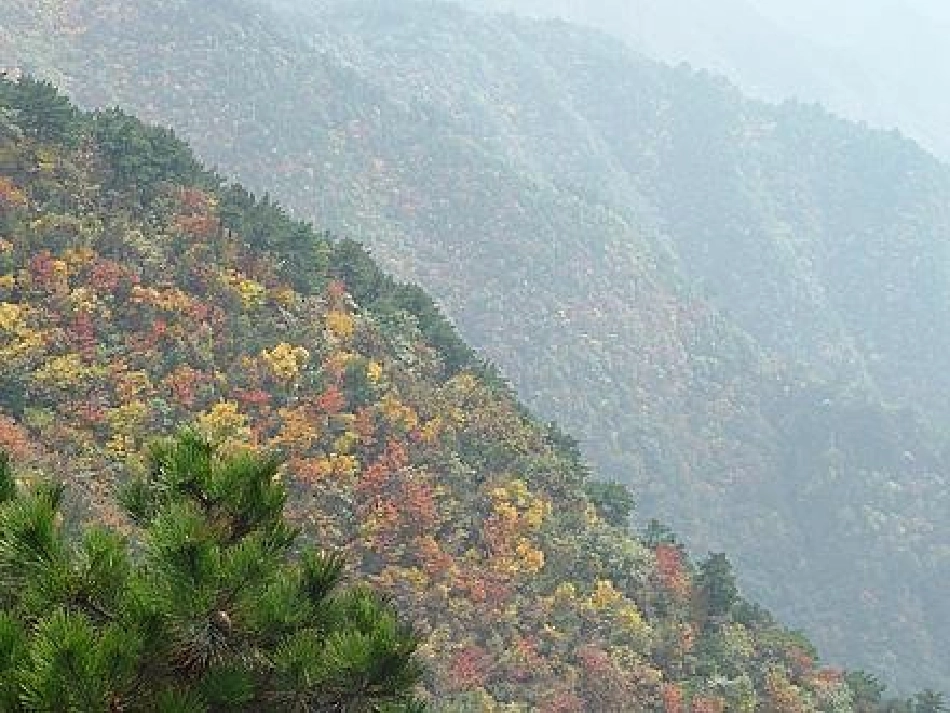 《千里跃进大别山》PPT课件[A版三年级语文下册]_第3页