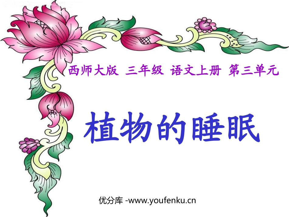 《植物的睡眠》PPT课件[西师大版三年级语文上册]_第1页