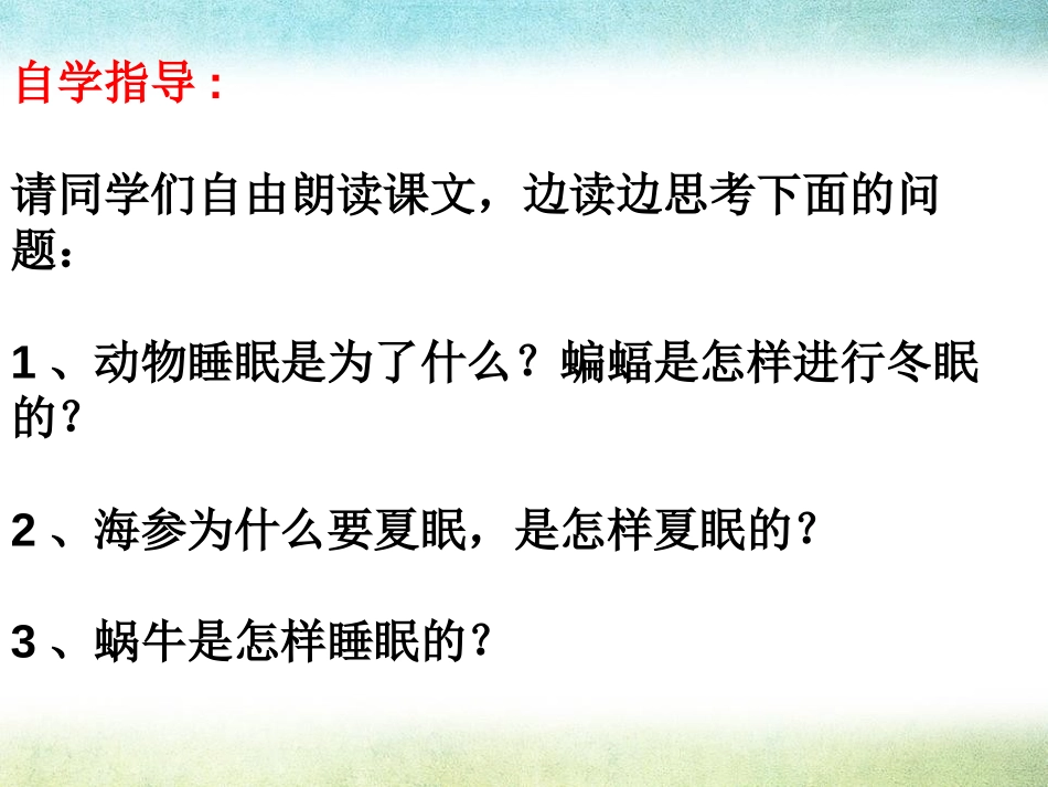 《动物的睡眠》PPT课件[A版三年级语文下册]_第3页