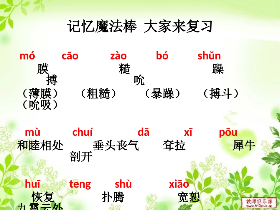 《小狮子爱尔莎》PPT课件[A版三年级语文下册]_第2页