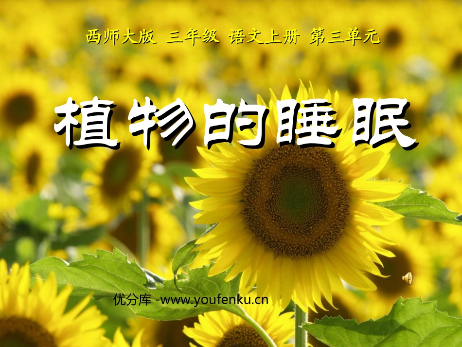 《植物的睡眠》PPT课件[西师大版三年级语文上册]_第1页